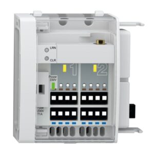 Controler radio Ant RM F2A ? cu anten? extern?, pentru 2 circuite | 78123