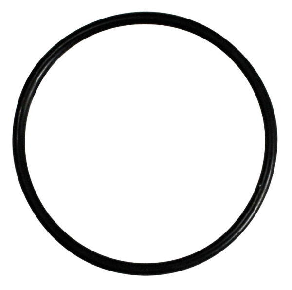 Inel O AFRISO pentru cupa cu filtru – Seria FloCo Top C